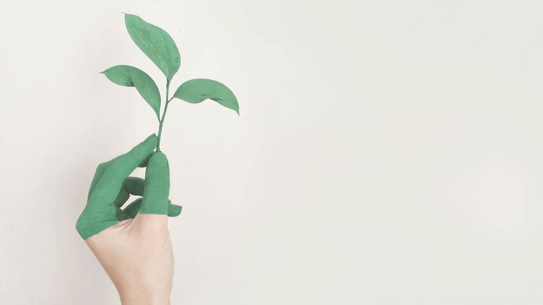 How Indian Crafts and Sustainability Join Forces to Shape a Brighter Future!