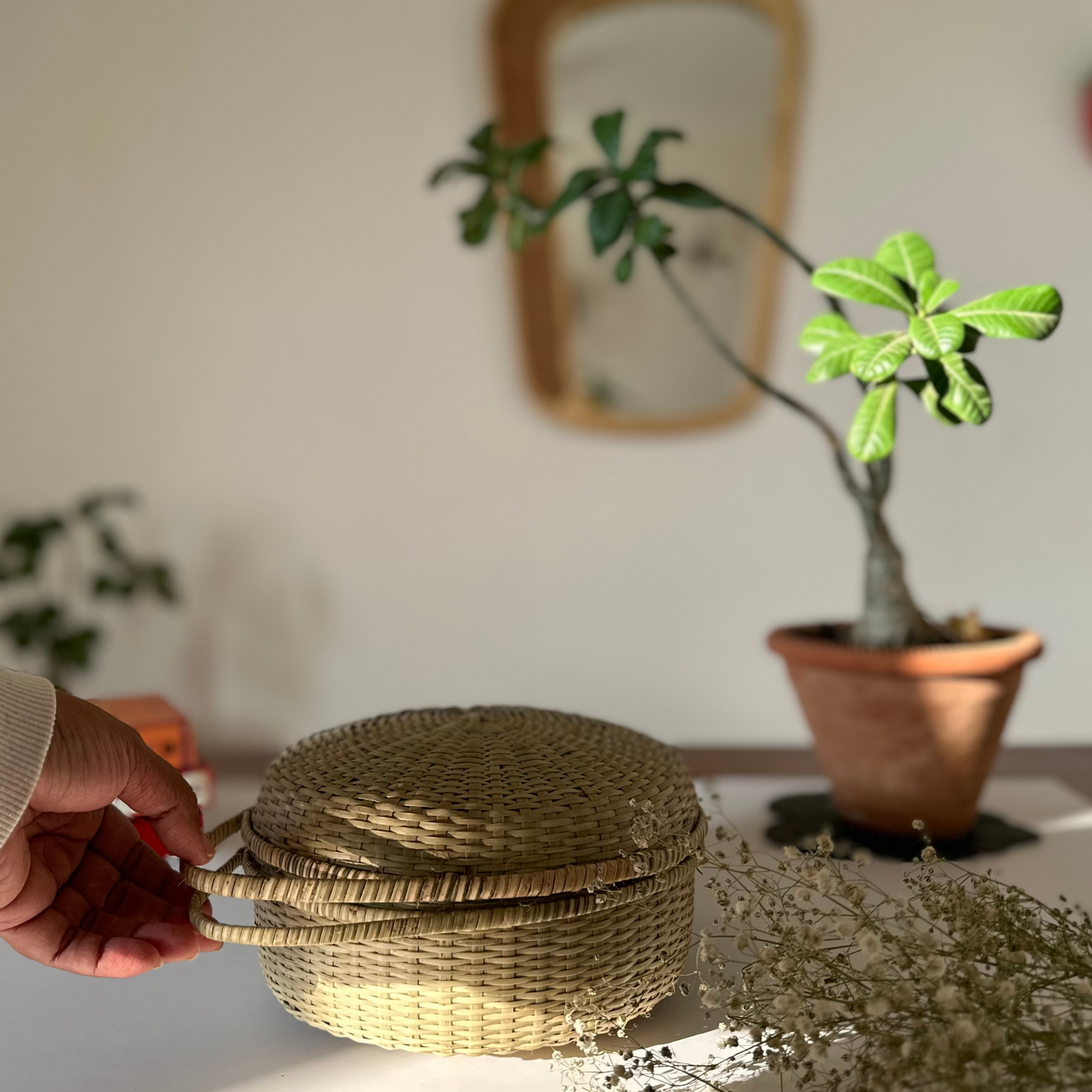Green Bamboo Container with handles