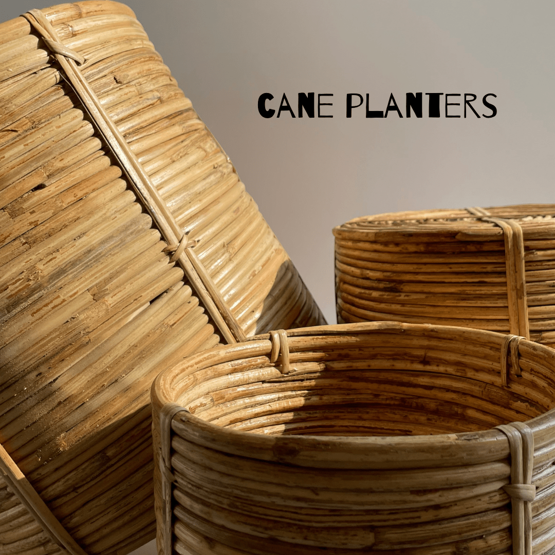 Coiled Cane Planter/ Storage ︳Large