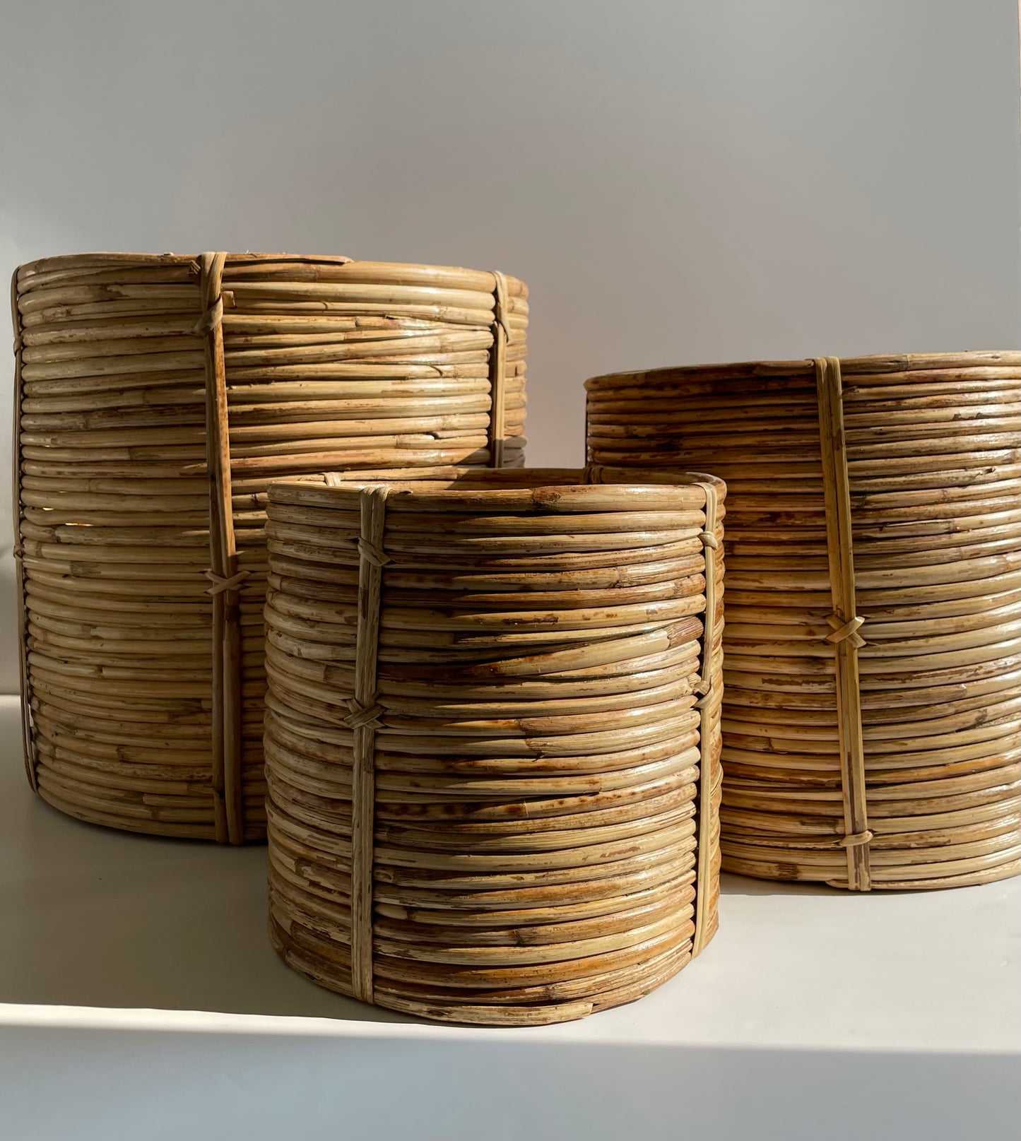Coiled Cane Planter/ Storage ︳Medium