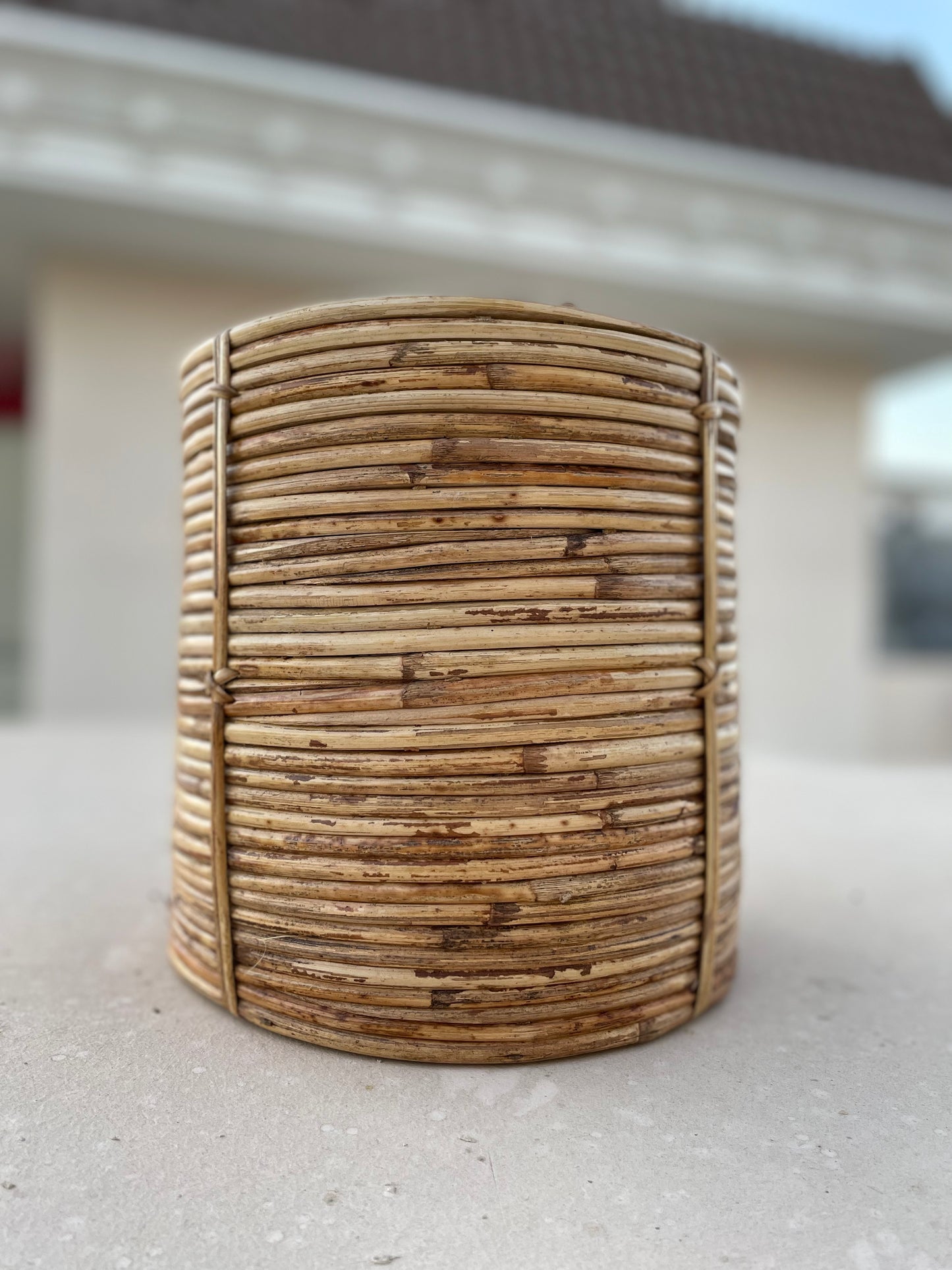 Coiled Cane Planter/ Storage ︳Large