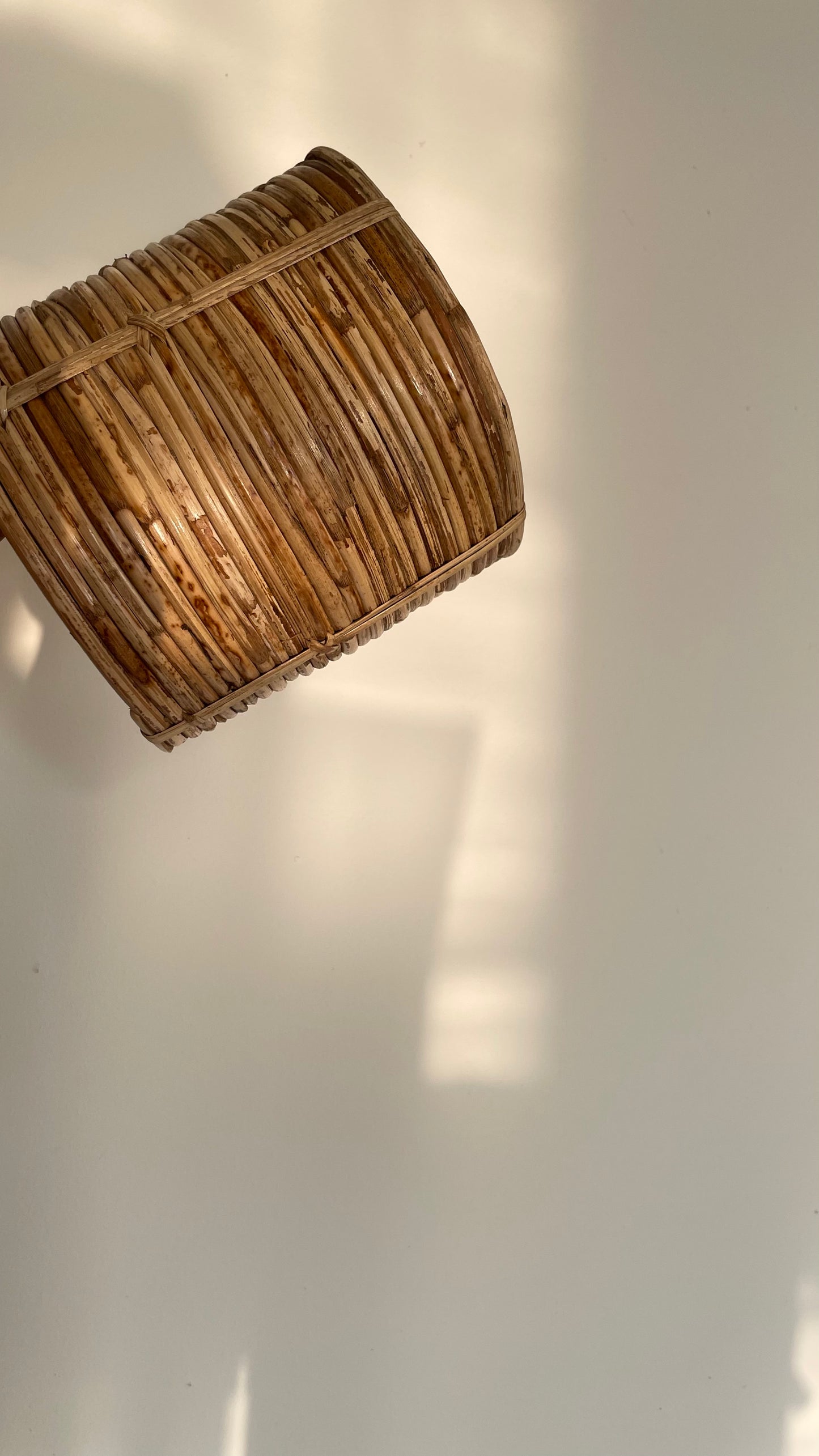 Coiled Cane Planter/ Storage ︳Small.