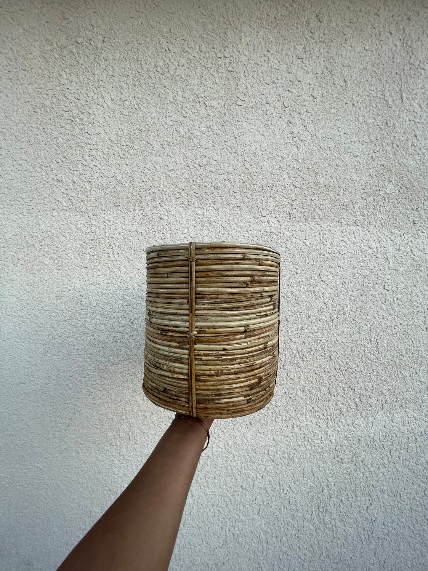 Coiled Cane Planter/ Storage ︳Small.