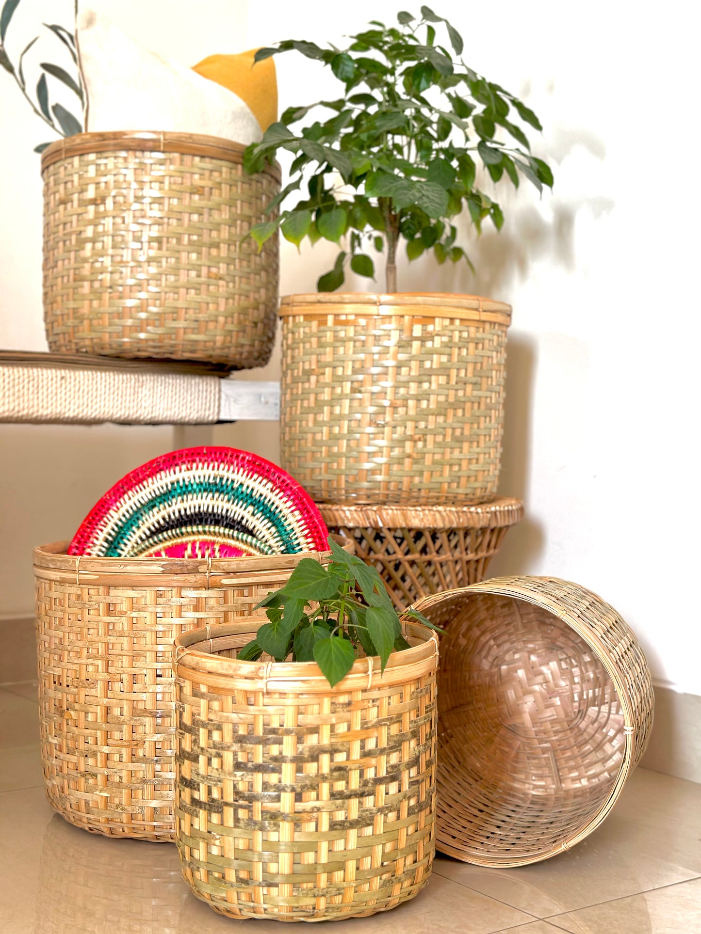 Set of 5 Bamboo Baskets